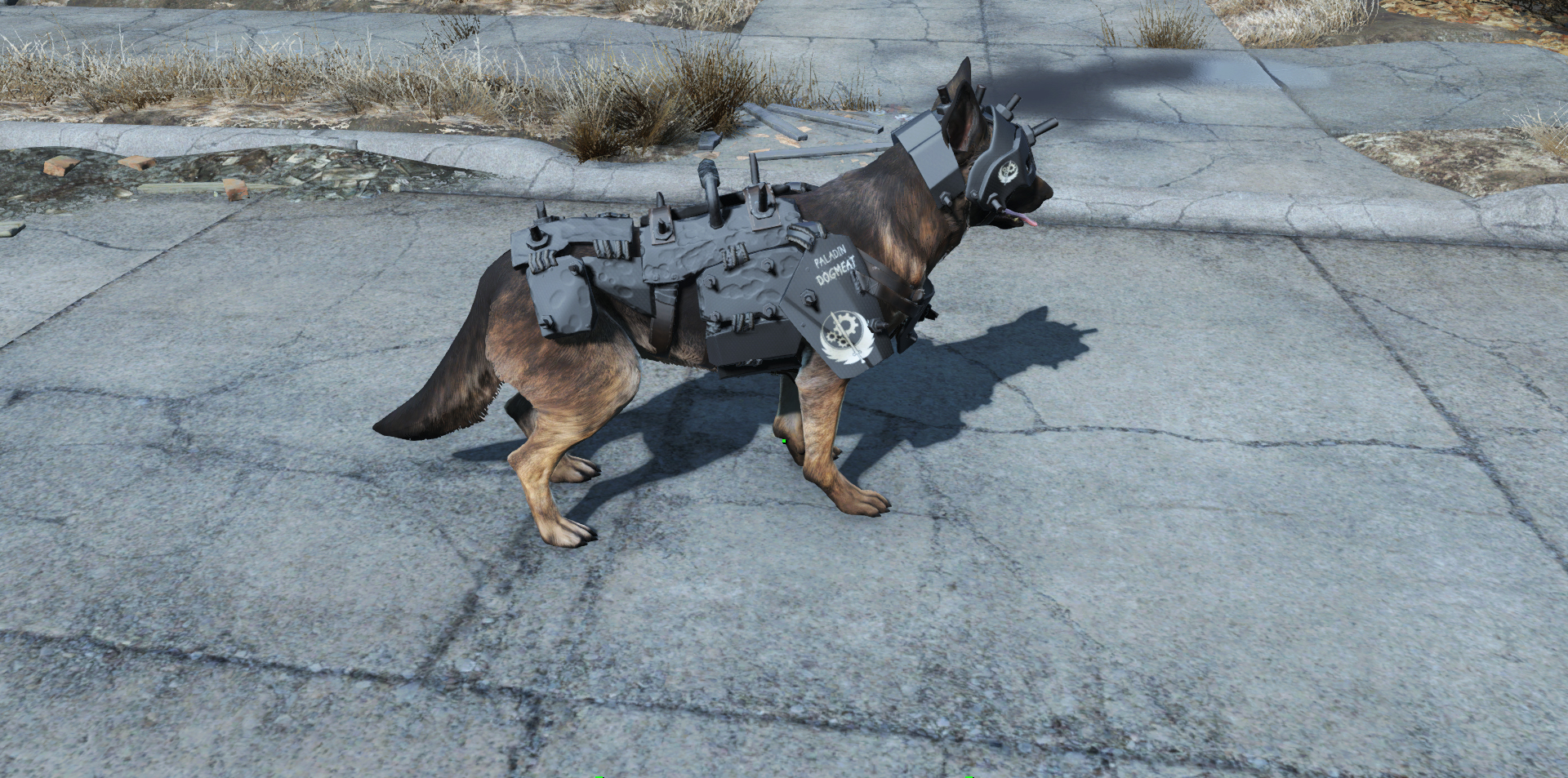 как в fallout 4 как одеть собаку фото 78