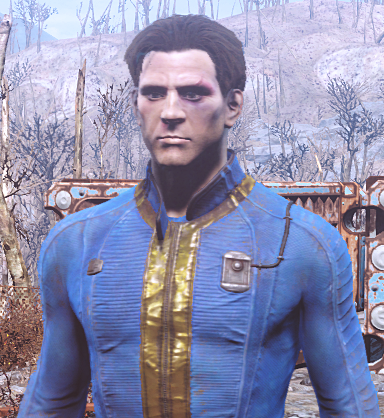 max mods fallout 4