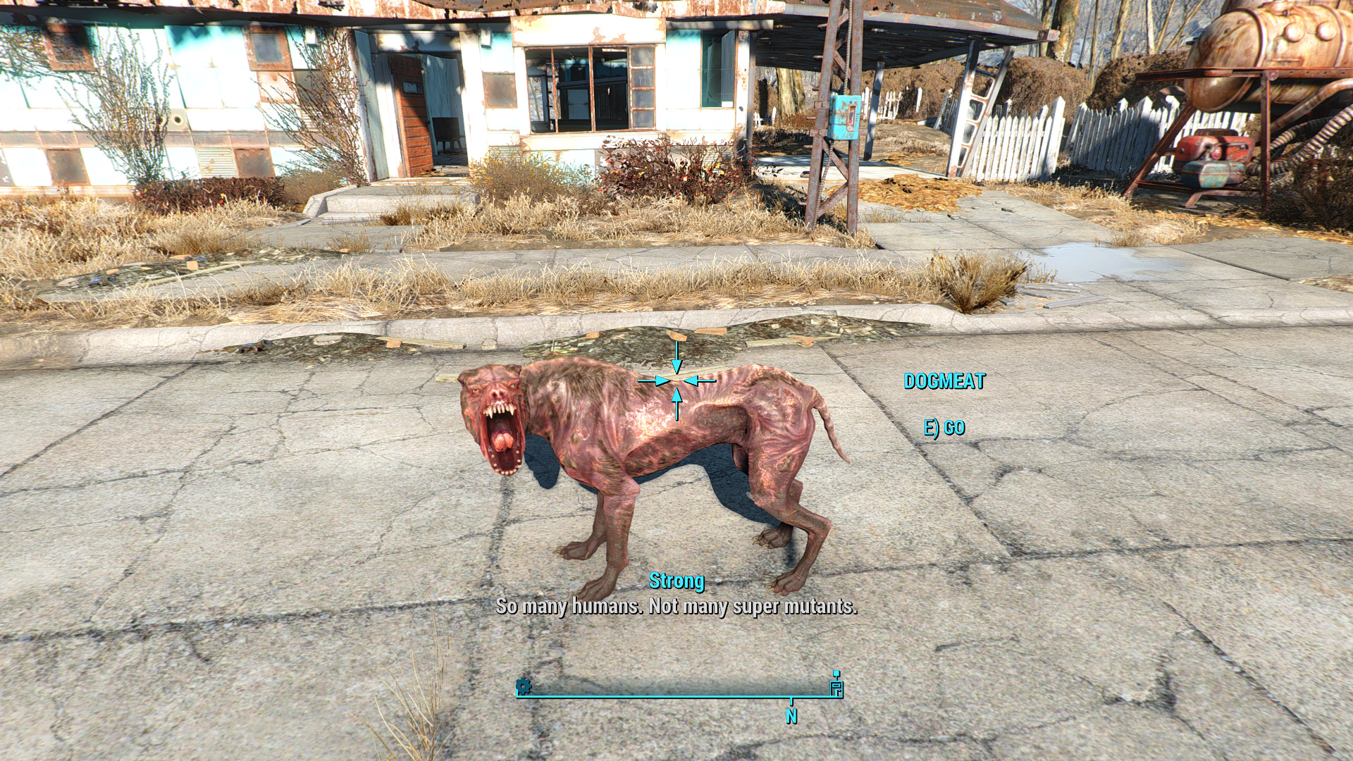 как fallout 4 позвать собаку в fallout 4 фото 31